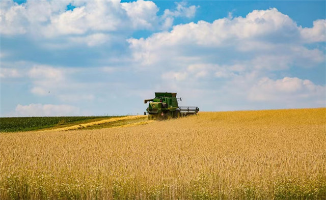 09514800492707968_33.png 09514800492707968_33.png