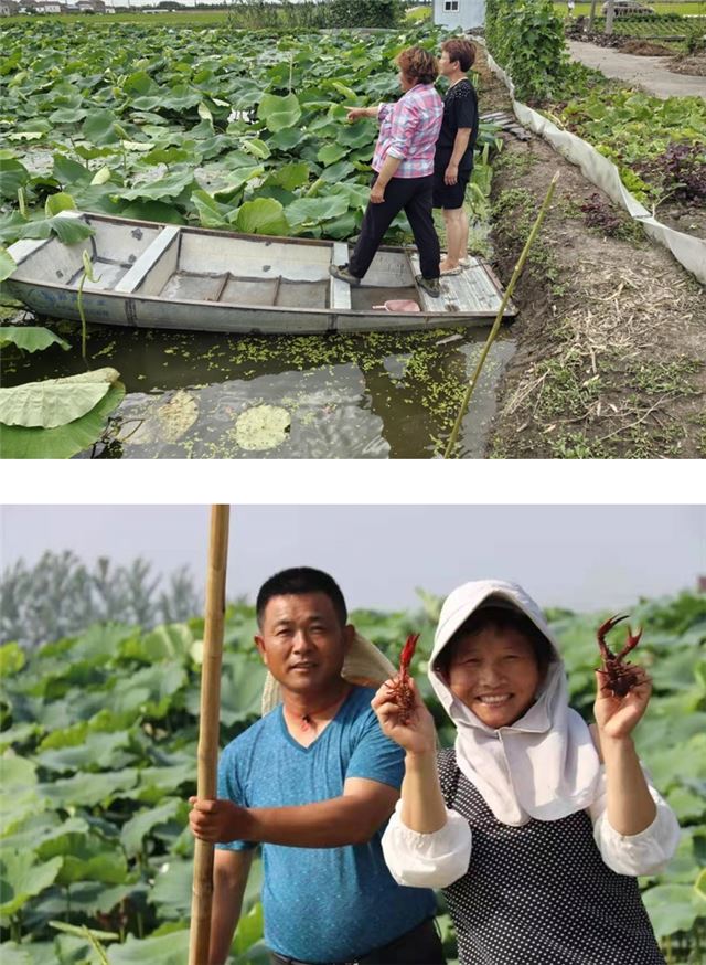 11453307882288837_33.jpg 11453307882288837_33.jpg