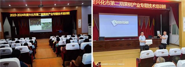 17401305708479055_33.jpg 17401305708479055_33.jpg