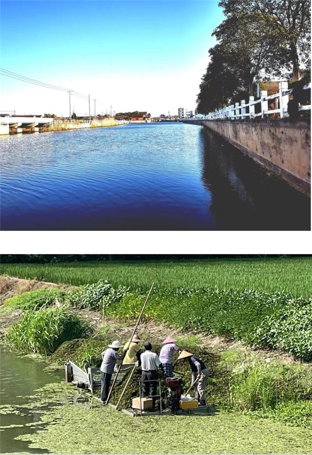 09183329533058649_33.jpg 09183329533058649_33.jpg