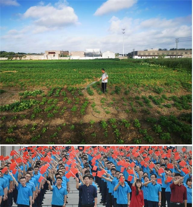 09185197963901364_33.jpg 09185197963901364_33.jpg