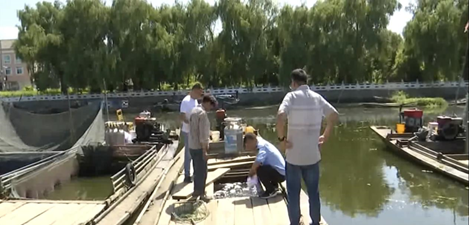 11354736708394572_33.png 11354736708394572_33.png