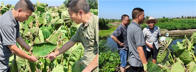 17455297676027894_33.jpg 17455297676027894_33.jpg