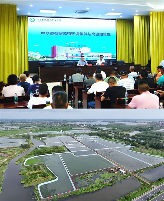 2037102869506023_33.jpg 2037102869506023_33.jpg