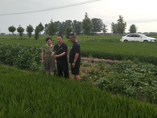 19230221665933815_33.png 19230221665933815_33.png