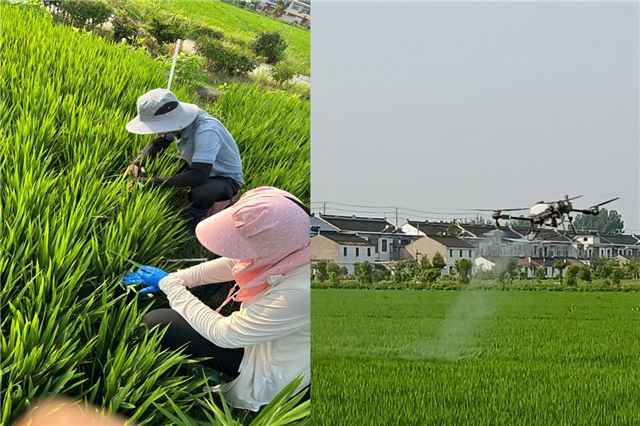 10341519672270989_33.jpg 10341519672270989_33.jpg