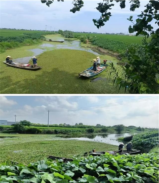 09440435061458884_33.jpg 09440435061458884_33.jpg