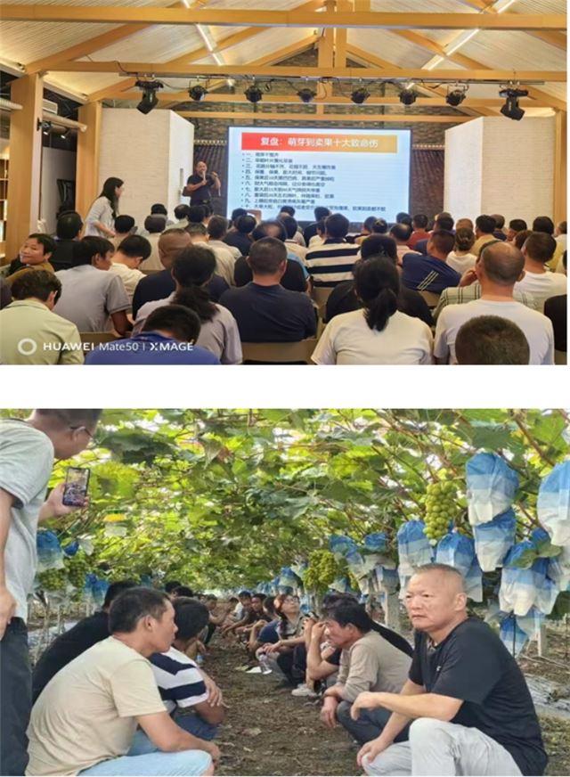 16252683521457486_33.jpg 16252683521457486_33.jpg