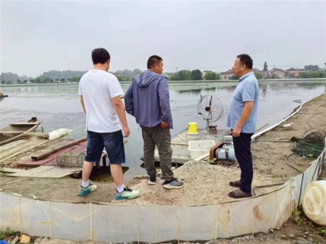 10413607276964846_33.jpg 10413607276964846_33.jpg