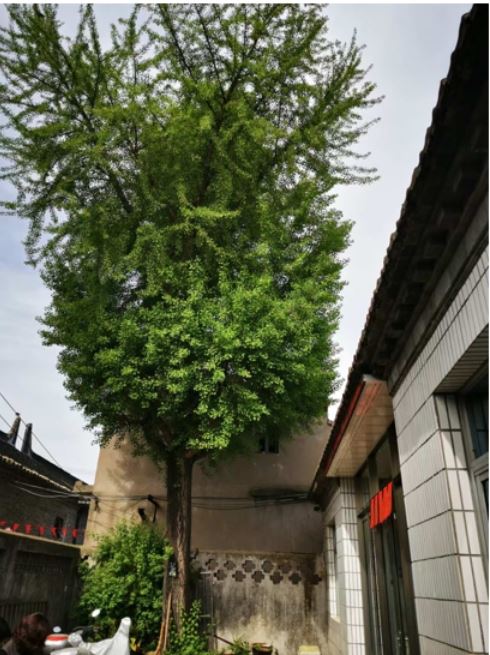 17094868102715943_33.jpg 17094868102715943_33.jpg