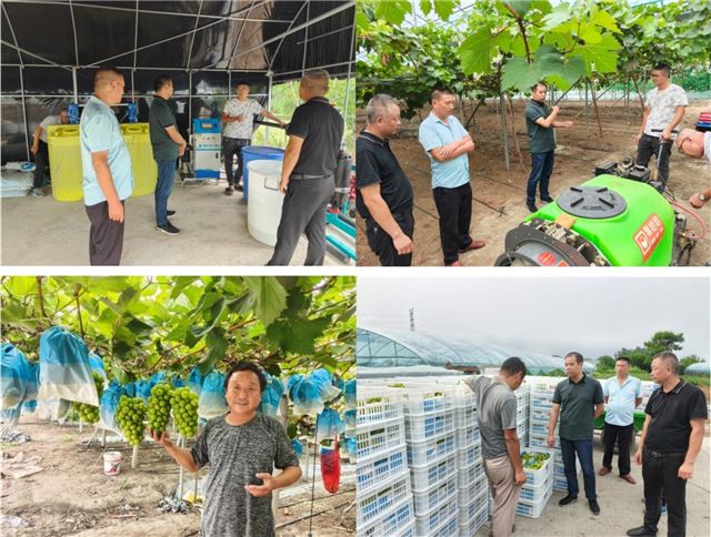 1204291363499632_33.jpg 1204291363499632_33.jpg