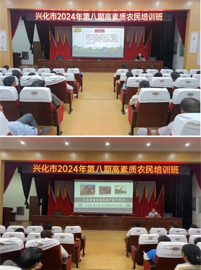 08485694477163035_33.jpg 08485694477163035_33.jpg