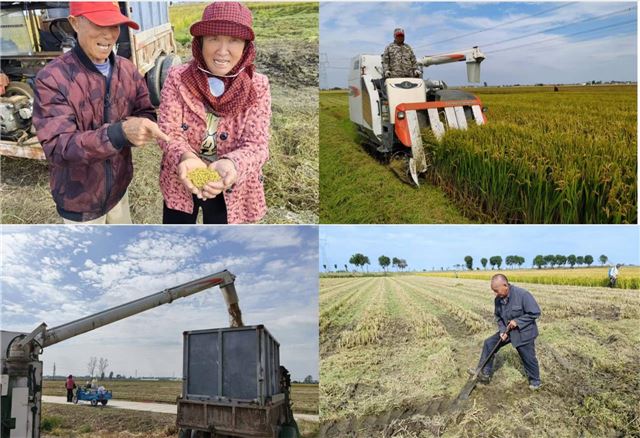 10270306828825473_33.jpg 10270306828825473_33.jpg