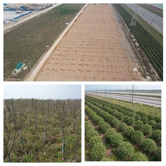 16071691854966633_33.jpg 16071691854966633_33.jpg