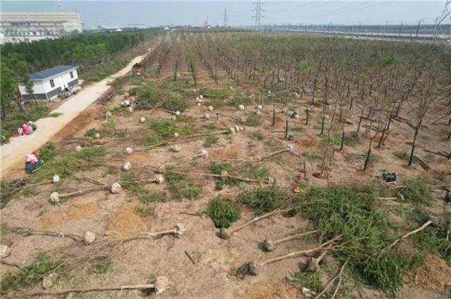 16074004764184336_33.jpg 16074004764184336_33.jpg