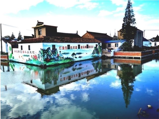 戴南镇农民“看图说话”