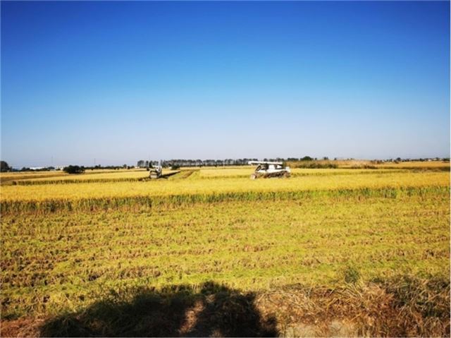 18204202123622489_33.jpg 18204202123622489_33.jpg