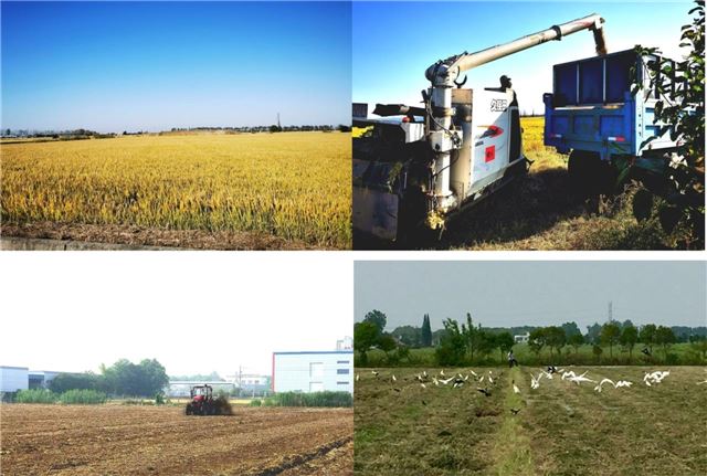 18210995913582514_33.jpg 18210995913582514_33.jpg