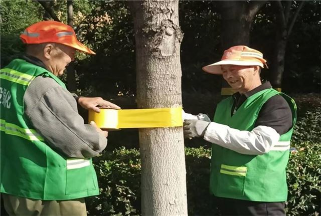 11394008536878110_33.jpg 11394008536878110_33.jpg