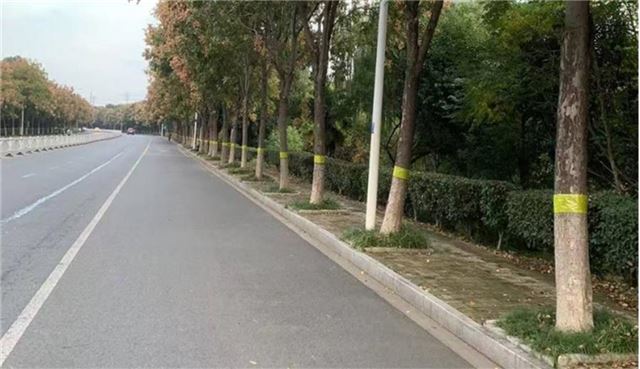 11401280619216659_33.jpg 11401280619216659_33.jpg