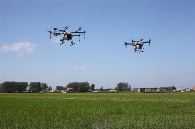 16455568042421633_33.jpg 16455568042421633_33.jpg