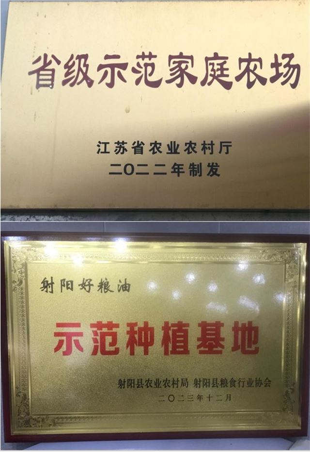 16464058857957475_33.jpg 16464058857957475_33.jpg