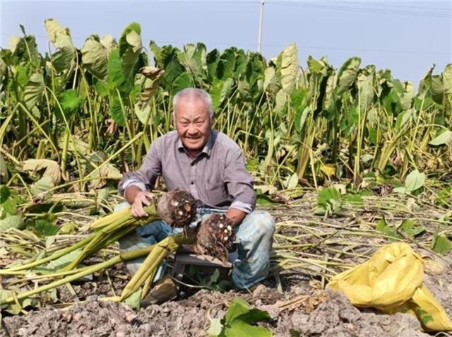 15221268659722969_33.jpg 15221268659722969_33.jpg