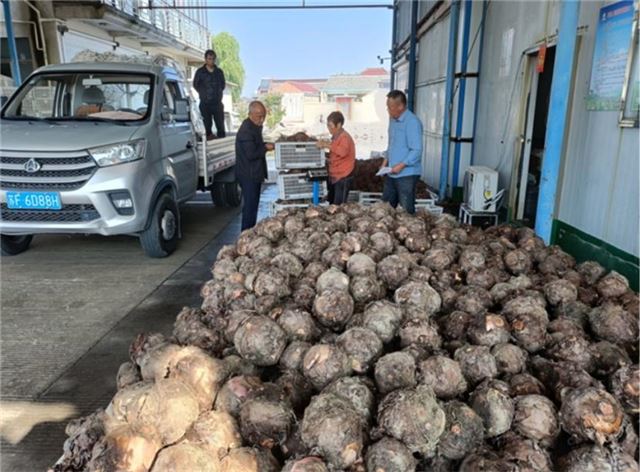 15223882811700100_33.jpg 15223882811700100_33.jpg