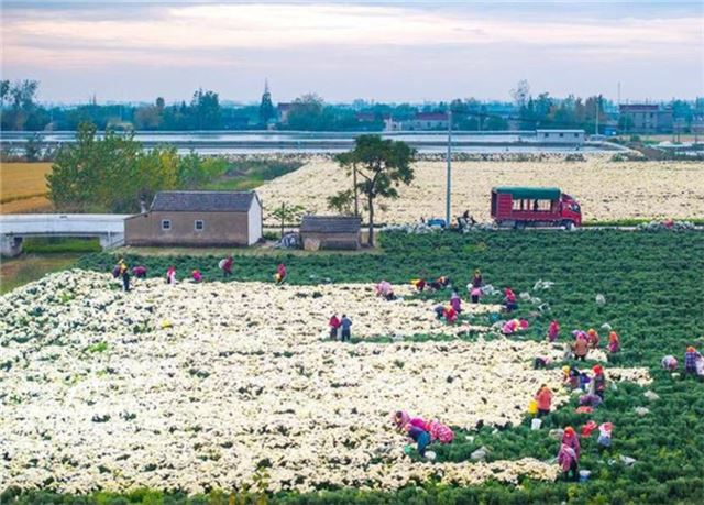 09214496563721255_33.jpg 09214496563721255_33.jpg