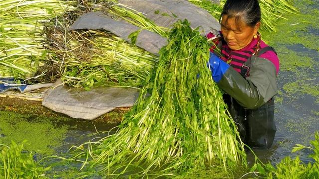 16362446363828618_33.jpg 16362446363828618_33.jpg