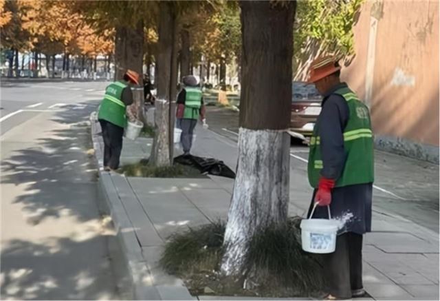 09221018031194310_33.jpg 09221018031194310_33.jpg