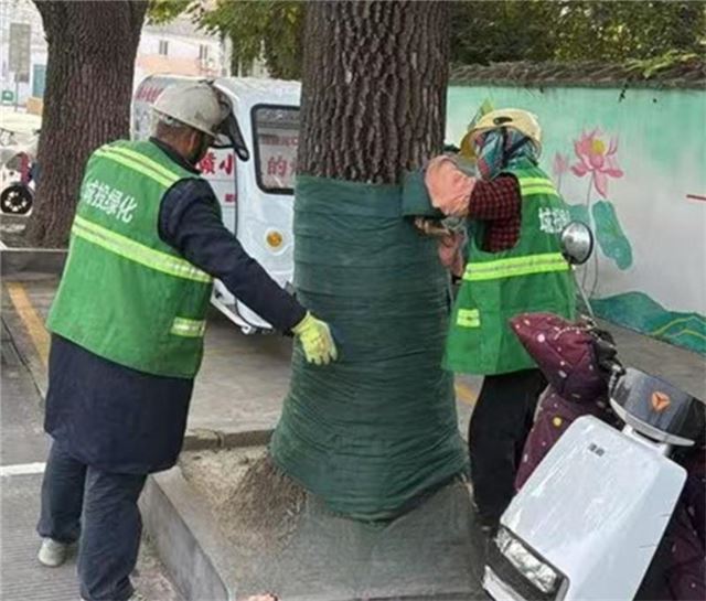 0922473065796418_33.jpg 0922473065796418_33.jpg