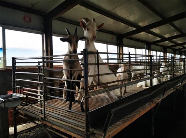 15522624696385179_33.jpg 15522624696385179_33.jpg