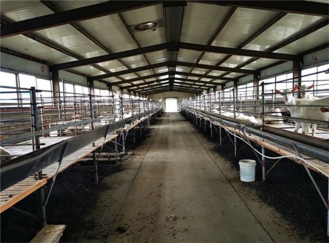 15534484406657998_33.jpg 15534484406657998_33.jpg