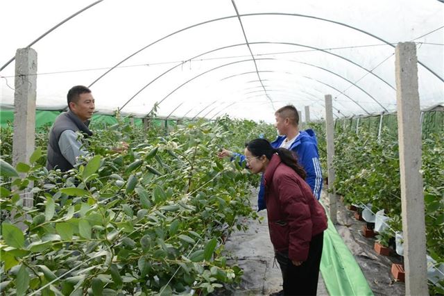 18234693486299901_33.jpg 18234693486299901_33.jpg