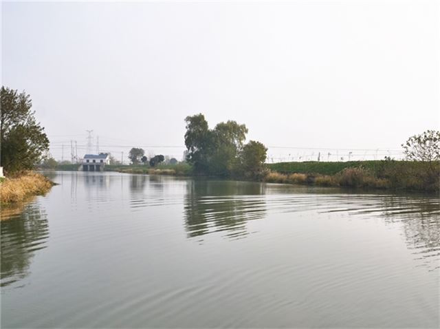 17012298598007495_33.jpg 17012298598007495_33.jpg