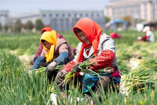 15172652561169997_33.jpg 15172652561169997_33.jpg