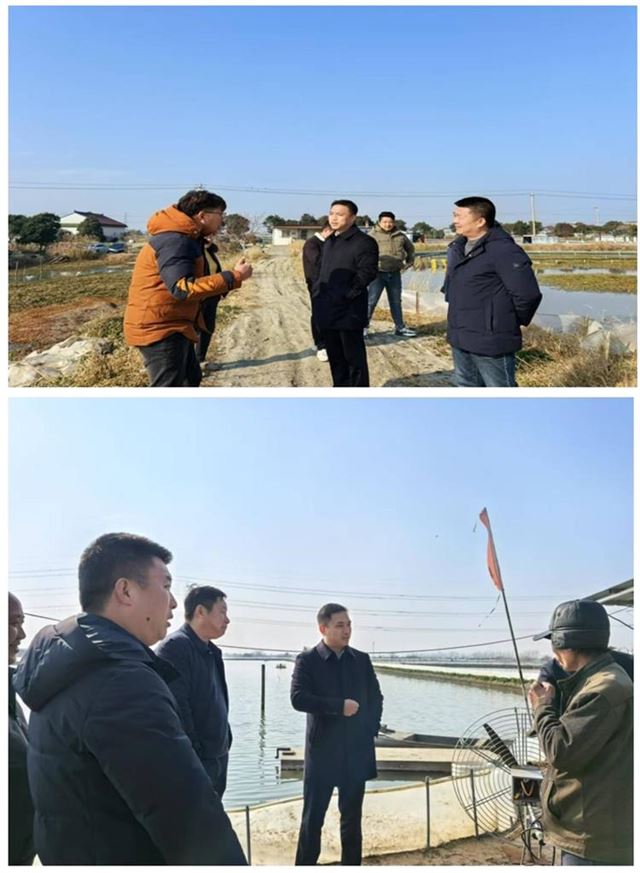 17461216822227281_33.jpg 17461216822227281_33.jpg