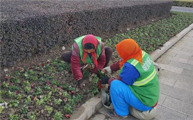 15481350523563149_33.jpg 15481350523563149_33.jpg