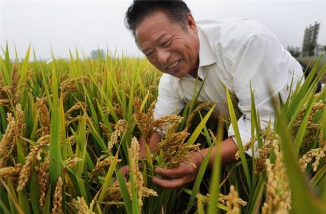 10555599081623085_33.jpg 10555599081623085_33.jpg