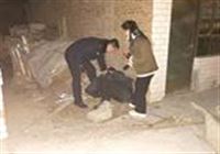 子长市公安局李家岔派出所：暖心事解民忧 拉近警民“心”距离