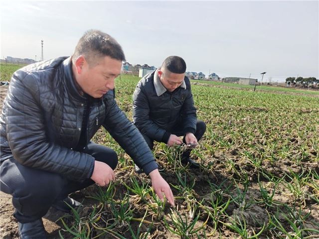 兴化市垛田农民：开春就是“好开头”