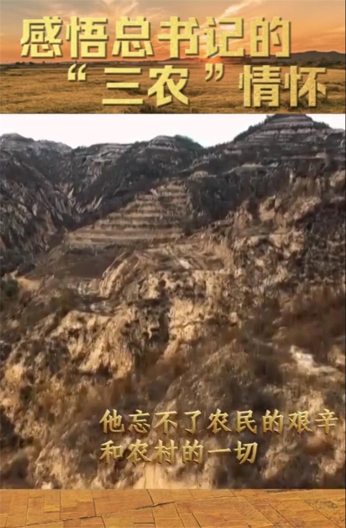 微视频丨感悟总书记